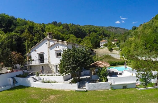 Photo de Les Hortensias