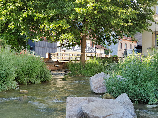 Bachterassen Weingarten (Baden) - Thumbnail