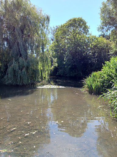 Blacksmith's Pond - Thumbnail