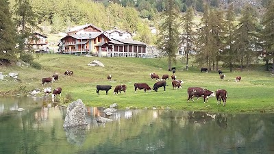 Camping Bar Ristorante Lac Lexert