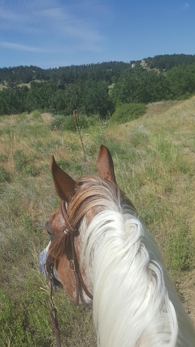 Buffalo Creek Wildlife Management Area