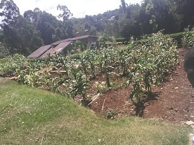Photos of Meru Sports Club