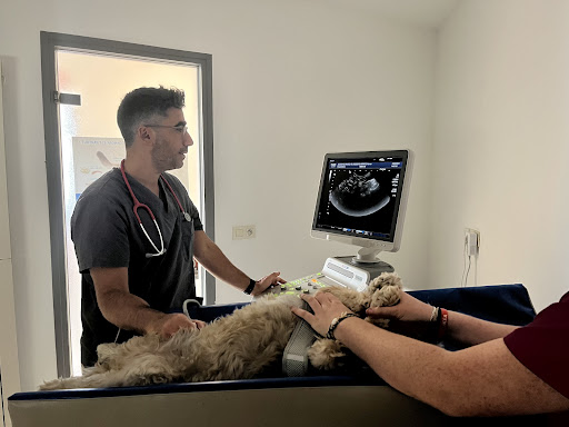 Veterinary Clinic Doctor Oudart - Thumbnail