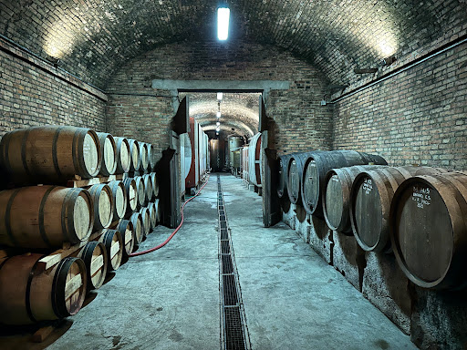 Fattoria Il Piano - Thumbnail