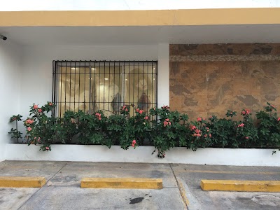 Photos of El Palacio de la Belleza