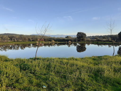 Laguna de Las Navas