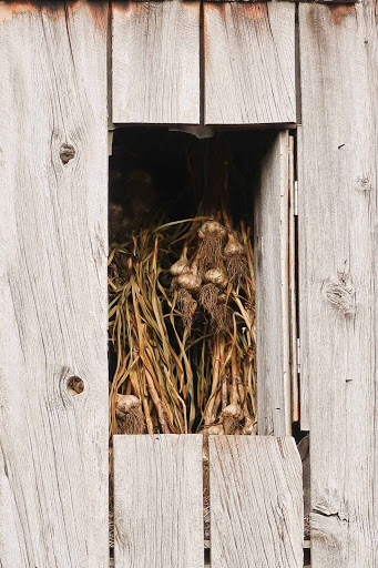 Sideroad Farm Gallery - Canada