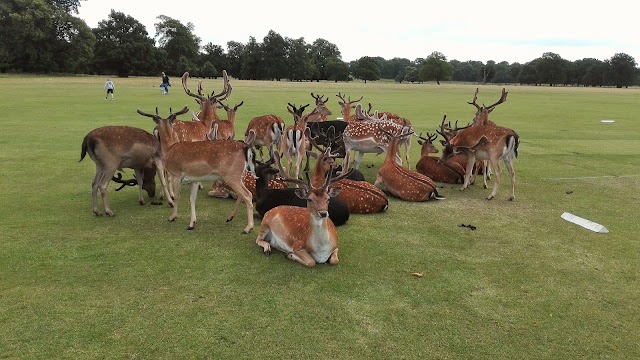 National Trust Belton House