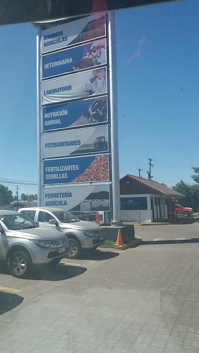 store