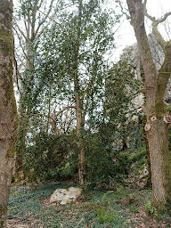 Photo n°24 de Le Rocher du Samoyède à Dirinon (Centre d'hébergement pour étudiants)