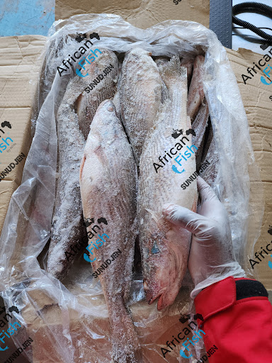 African fish - Visual