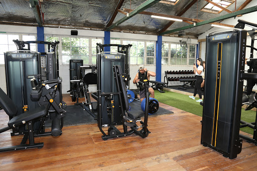 Fitness Portal Petone
