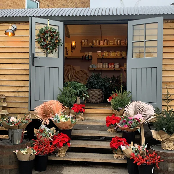 Blush Flower Hut Ltd photo