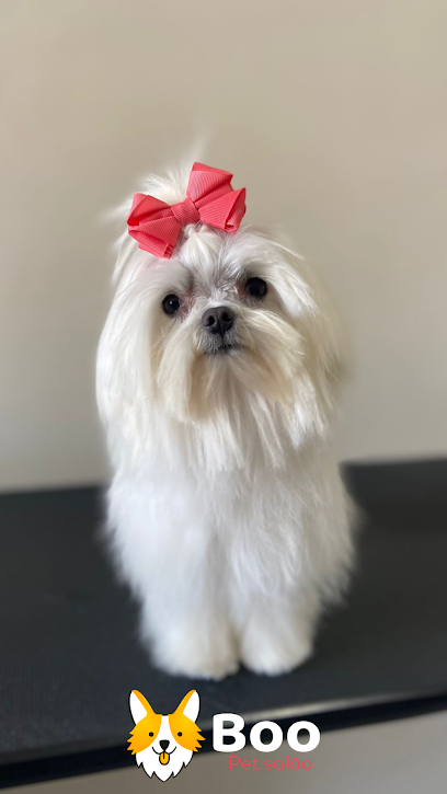 Boo pet salão
