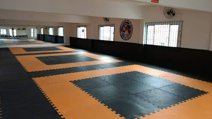 SEIKAN ARTES MARCIAIS