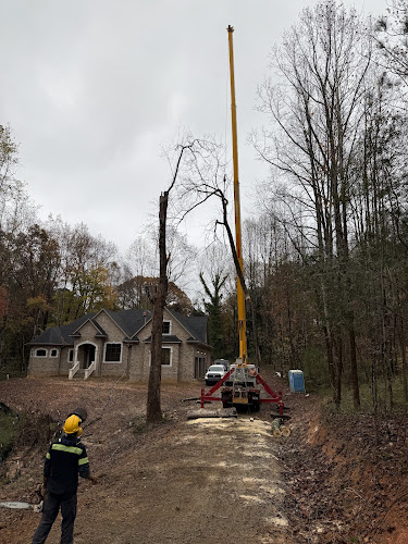 Doc’s Tree Service LLC