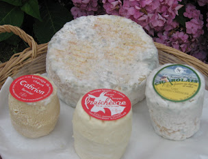 Photo n°2 de Gaec Mathieu-chevalier à Saint-Vincent-Bragny (Éleveur)