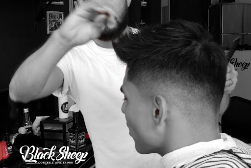 Black sheep barberia
