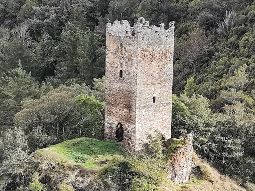 Torre de Doncos Logo