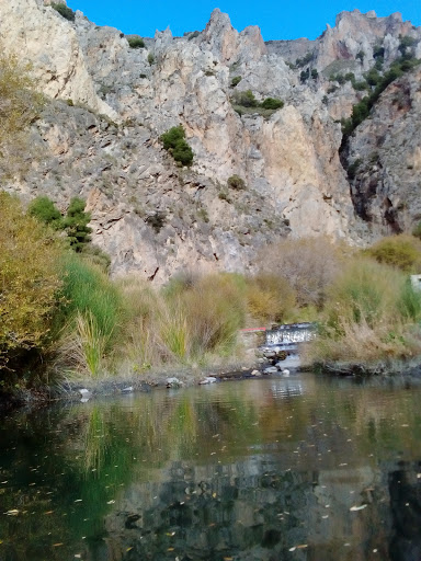 Vereda Nigüelas Gallery - Spain