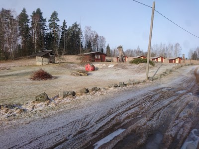 Photos of Triinu baar