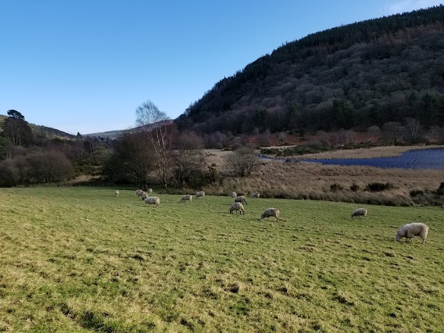 Glendalough Monastic Site