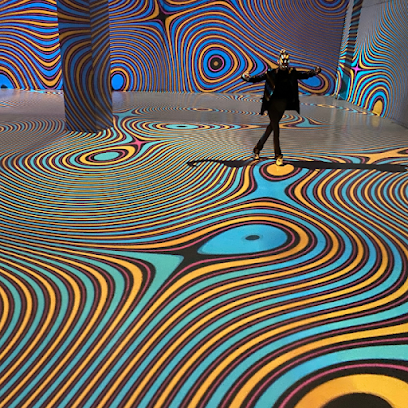 Motion Experience