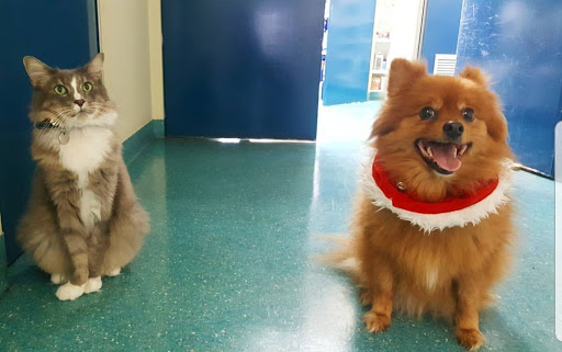 My Best Friend Veterinary Centre - Thumbnail