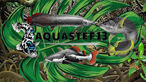 Aquastef13 à Roquevaire