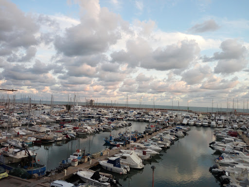 Nettuno City Hall - Thumbnail
