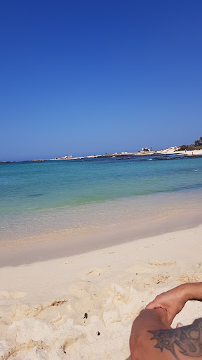 SimplyCotillo - Visual