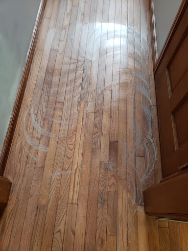 Go Green Carpet Cleaners - Thumbnail