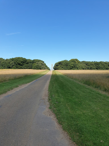 Holkham Obelisk - Thumbnail