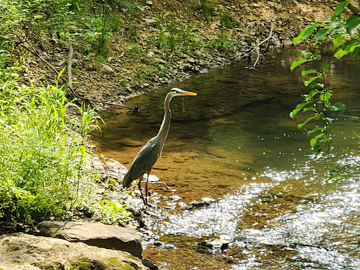 Washingtonian Woods Park - Thumbnail