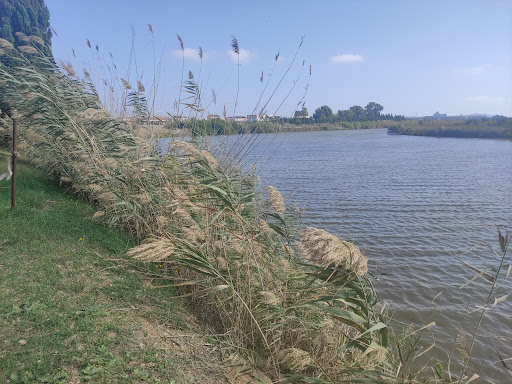 Passeggiata Pedo/Ciclabile - Thumbnail