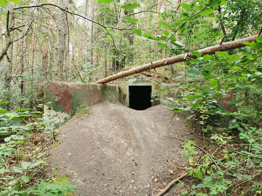 Seeberg - Visual