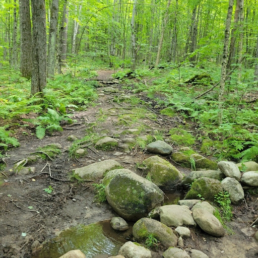 Sabattus Mountain Trail - Thumbnail