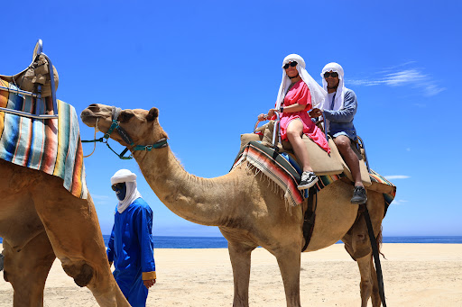 Cabo Adventures - Thumbnail