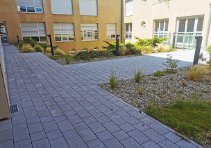 Photo n°2 de Design Concept Paysages à Vindry-sur-Turdine (Paysagiste)