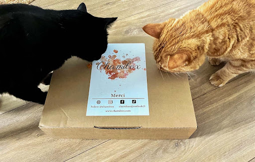 Chamibox - Thumbnail