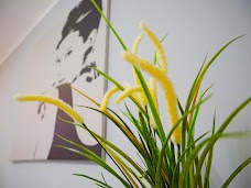 Aesthetic Medicine Skin Clinic London | Eskulap london