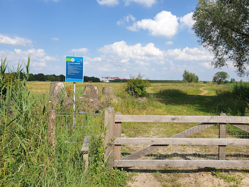 Natuurgebied Koeweiden