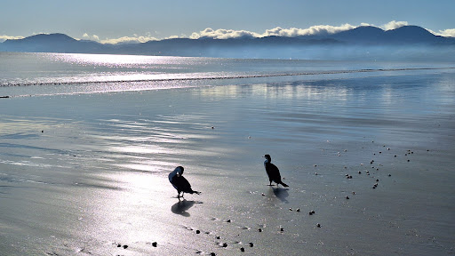 Rabbit Island Beach - Thumbnail
