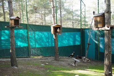 Gölpinar Nature Park