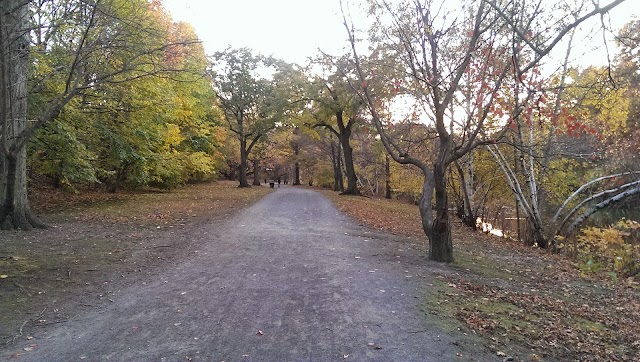 Emerald Necklace
