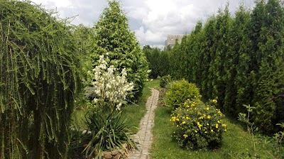 Photos of Usad'ba "Rodovoye Gnezdo"
