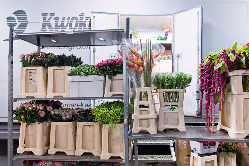 Kwoka Blumen Handels-GmbH - Thumbnail