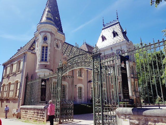 Hotel Villa Louise