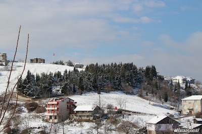 Döngel Merkez Mezarlığı