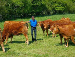 Photo n°1 de Ferme des Rateries - Vente directe de viande Limousine à Dun-le-Palestel (Magasin d'alimentation bio)